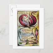 'Säugling Joy', Platte 23 von 'Songs of Innocence  Postkarte (Vorne/Hinten)