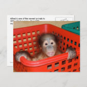 Säugling Orangutan in Kinderzimmer Postkarte (Vorne/Hinten)