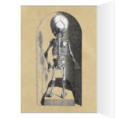 Säugling Skelettkarte Vorderseite / Rückseite Hall (Innen (Links))