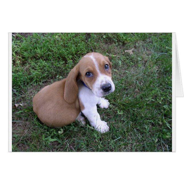 Säuglinge (8) (Vorderseite (Horizontal))