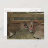 Säuglinge Postkarte (Vorne/Hinten)