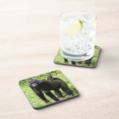 Säuglings-Tiefland-Gorilla auf der Rückseite der Getränkeuntersetzer (Rechte Seite)