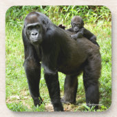 Säuglings-Tiefland-Gorilla auf der Rückseite der Getränkeuntersetzer (Vorderseite)