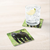 Säuglings-Tiefland-Gorilla auf der Rückseite der Rechteckiger Pappuntersetzer (Vor Ort)