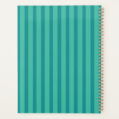 Saul Goode Zen Advisor Aqua Stripes BG Planer (Rückseite)