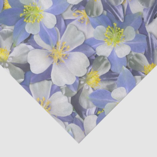 Säulen Nahtloses Muster Seidenpapier (Detail)