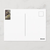 Säulen Postkarte (Rückseite)