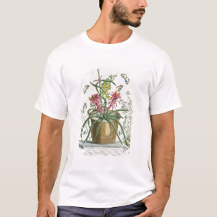 Säulenkaktus Minimus, c.1745 (farbiges litho) T-Shirt