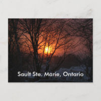 Sault Ste. Marie, Ontario Postcard