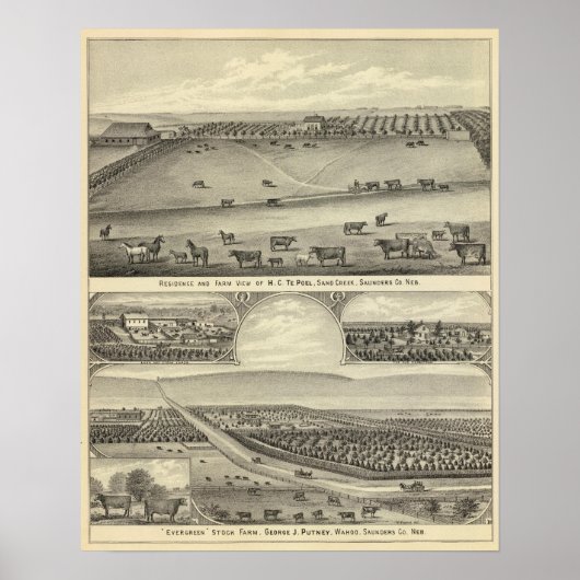 Saunders Landkreis Farms, Nebraska Poster (Vorne)
