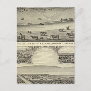 Saunders Landkreis Farms, Nebraska Postkarte
