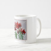 Saure Amaryllis auf einer Tasse (VorderseiteRechts)