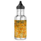 Säure-Rost-Pfade Edelstahlflasche (Rechts)