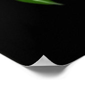 Säuregrüne Biogefährdung 08 Poster (Ecke)