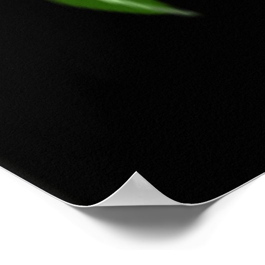 Säuregrüne Biogefährdung 08 Poster (Ecke)