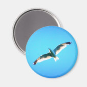 saurer Magnet (Vorderseite/Rückseite)