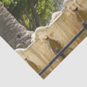 Sausalito Fountain California Travel Fotografy Seidenpapier (Detail)