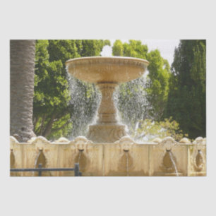 Sausalito Springbrunnen California Reisefotografie Seidenpapier