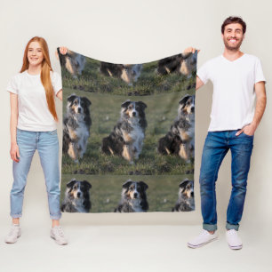 Saustralisch-blaues Merle-Sitzen Fleecedecke