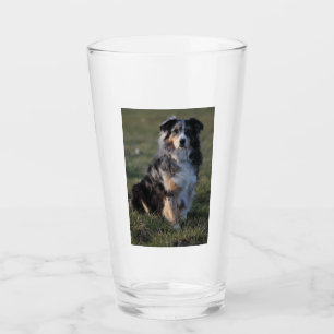 Saustralisch-blaues Merle-Sitzen Glas