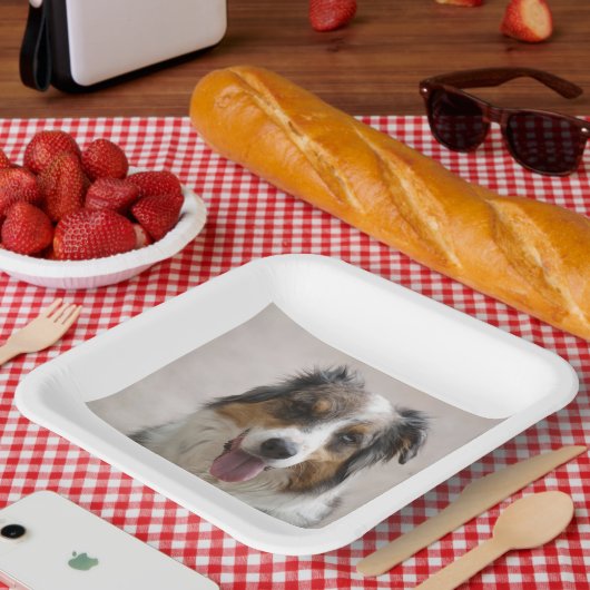 Saustralischer Hirtenhändler Pappteller (Picknick)