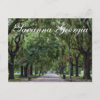 Savanna Georgia Tree Park Postkarte