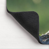 Savanna Monkey Mousepad (Ecke)