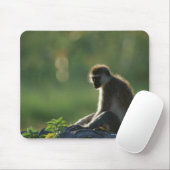 Savanna Monkey Mousepad (Mit Mouse)