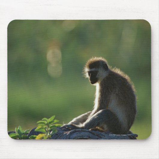 Savanna Monkey Mousepad (Vorne)