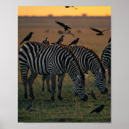 Savanna Stripes Stille Poster