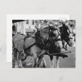 Savannah Arbeitspferde Postkarte (Vorne/Hinten)