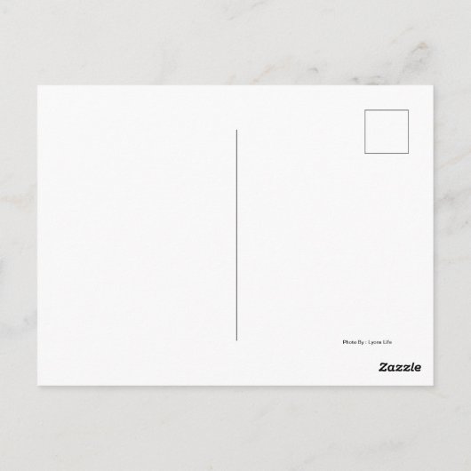 Savannah Arbeitspferde Postkarte (Rückseite)