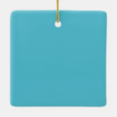 Savannah Beach Gruß Postcard Ornament (Rückseite)