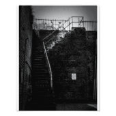 Savannah Bicycle Fotodruck (Vorne)