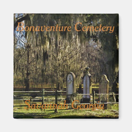 Savannah Bonaventure Magnet (Vorne)