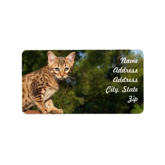 Savannah Cat Address Sticker Adressaufkleber (Vorne)