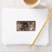 Savannah Cat Address Sticker Adressaufkleber (Insitu)