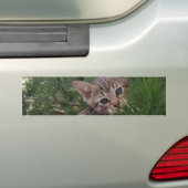 Savannah Cat Background Autoaufkleber (Auf Auto)