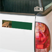 Savannah Cat Background Autoaufkleber (Auf Lkw)