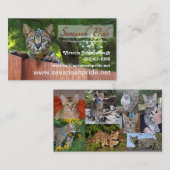 Savannah Cat Business Card Visitenkarte (Vorne/Hinten)
