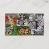 Savannah Cat Business Card Visitenkarte (Rückseite)