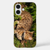 Savannah Cat Case (Rückseite)