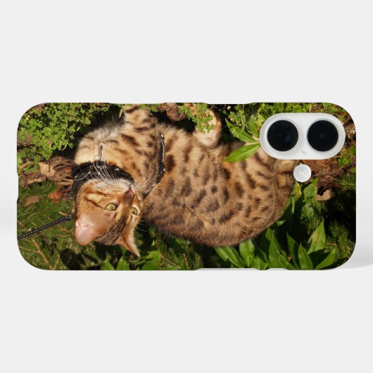Savannah Cat Case (Rückseite (Horizontal))