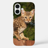 Savannah Cat Handy Case (Rückseite)