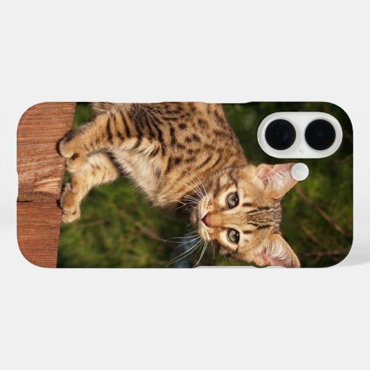 Savannah Cat Handy Case (Rückseite (Horizontal))