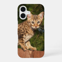 Savannah Cat Handy Case