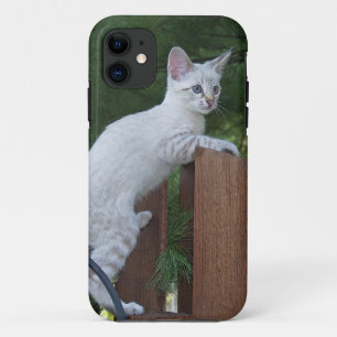 Savannah Cat iPhone 5 Case-Mate Barely Dort 11 Hülle