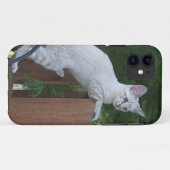 Savannah Cat iPhone 5 Case-Mate Barely Dort Hülle (Rückseite (Horizontal))