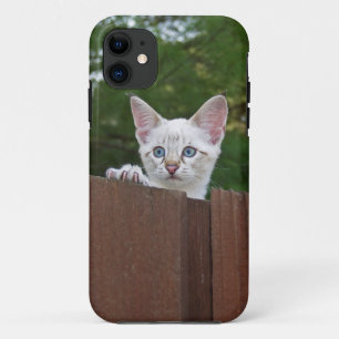 Savannah Cat iPhone 5 Case-Mate Barely Dort 11 Hülle