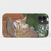 Savannah Cat iPhone 5 Case-Mate Barely Dort Hülle (Rückseite (Horizontal))